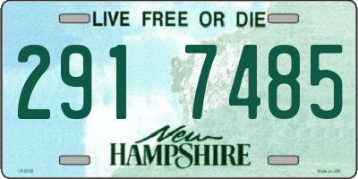 NH license plate 2917485