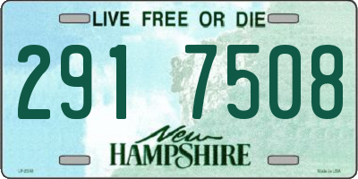 NH license plate 2917508