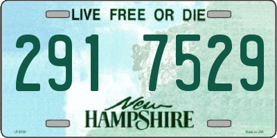 NH license plate 2917529