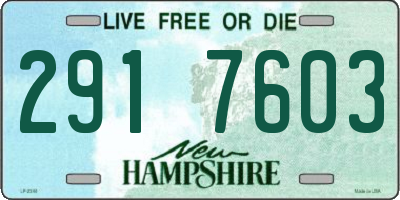 NH license plate 2917603