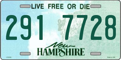 NH license plate 2917728