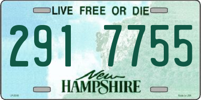 NH license plate 2917755