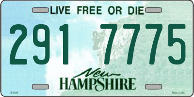 NH license plate 2917775