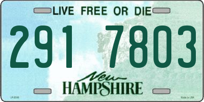 NH license plate 2917803
