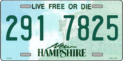 NH license plate 2917825