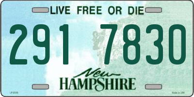 NH license plate 2917830