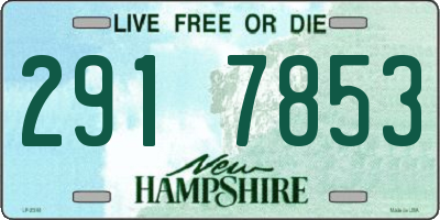 NH license plate 2917853