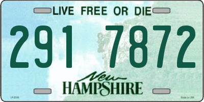 NH license plate 2917872