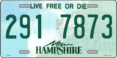 NH license plate 2917873