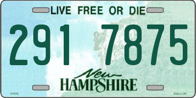 NH license plate 2917875