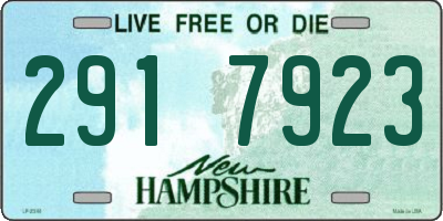 NH license plate 2917923