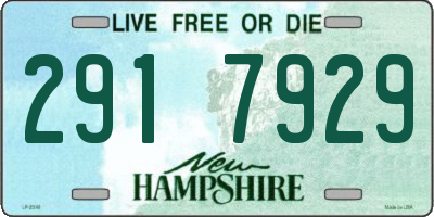 NH license plate 2917929