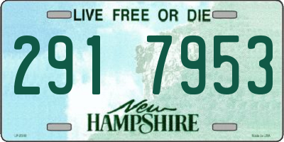 NH license plate 2917953