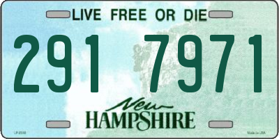 NH license plate 2917971