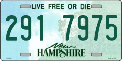 NH license plate 2917975