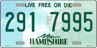 NH license plate 2917995