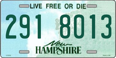 NH license plate 2918013