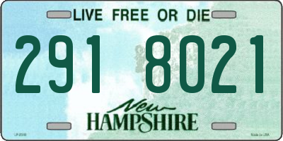 NH license plate 2918021