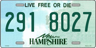 NH license plate 2918027