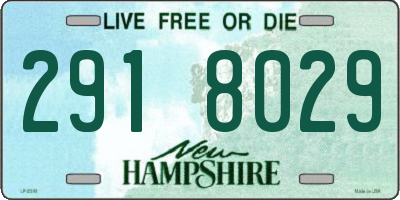 NH license plate 2918029