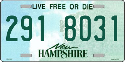 NH license plate 2918031