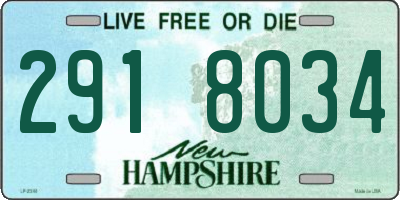NH license plate 2918034