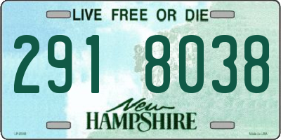 NH license plate 2918038