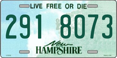 NH license plate 2918073