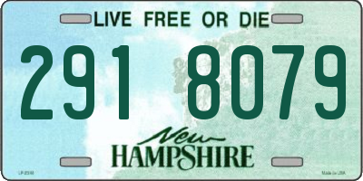 NH license plate 2918079