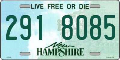 NH license plate 2918085