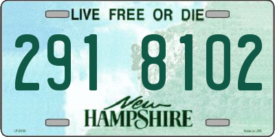 NH license plate 2918102