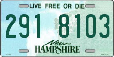 NH license plate 2918103