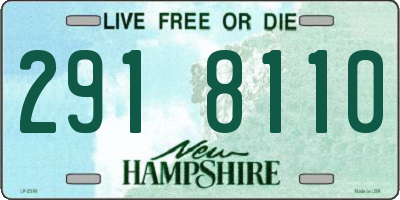 NH license plate 2918110