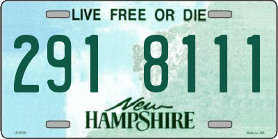 NH license plate 2918111