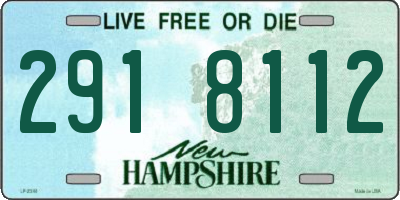 NH license plate 2918112