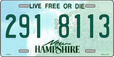 NH license plate 2918113