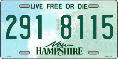 NH license plate 2918115