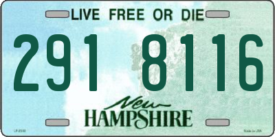 NH license plate 2918116