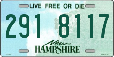 NH license plate 2918117