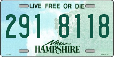 NH license plate 2918118