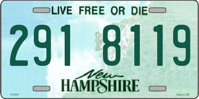 NH license plate 2918119
