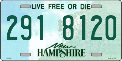 NH license plate 2918120