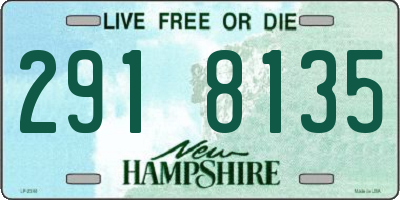 NH license plate 2918135