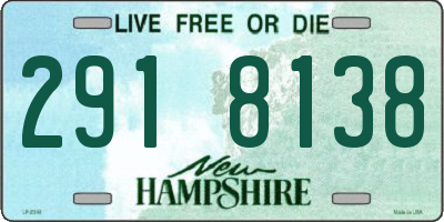 NH license plate 2918138