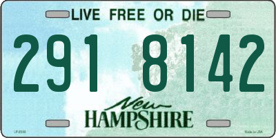 NH license plate 2918142