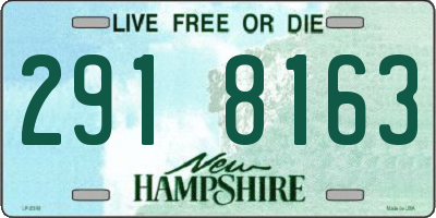 NH license plate 2918163