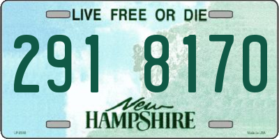 NH license plate 2918170