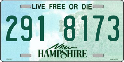 NH license plate 2918173