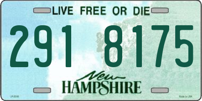 NH license plate 2918175