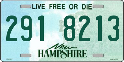 NH license plate 2918213